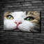 Green Cat'S Eyes - No Frame Print on Canvas