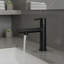 Robinet pour salle de bain à poignée simple deux-en-un Fountain and Flow-120650297