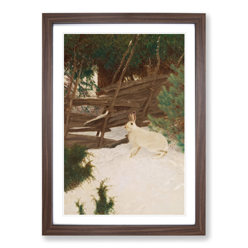 White Hare Vol.6 by Bruno Liljefors - Picture Frame Painting, 48cm H x 36cm W x 2cm D, Walnut