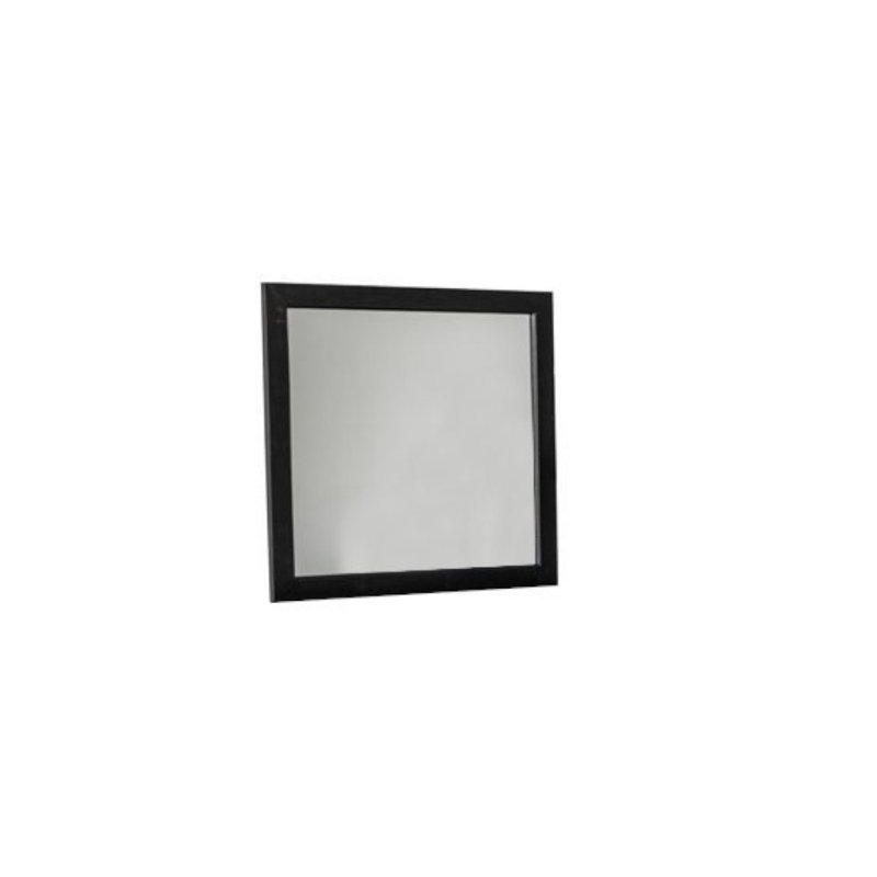HomeRoots Solid Wood Rectangle Mirror