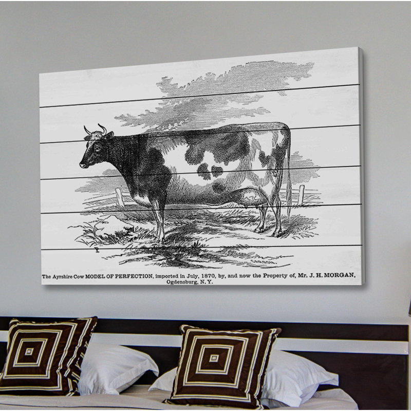 « ayrshire model », impression sur bois, 30 po x 45 po