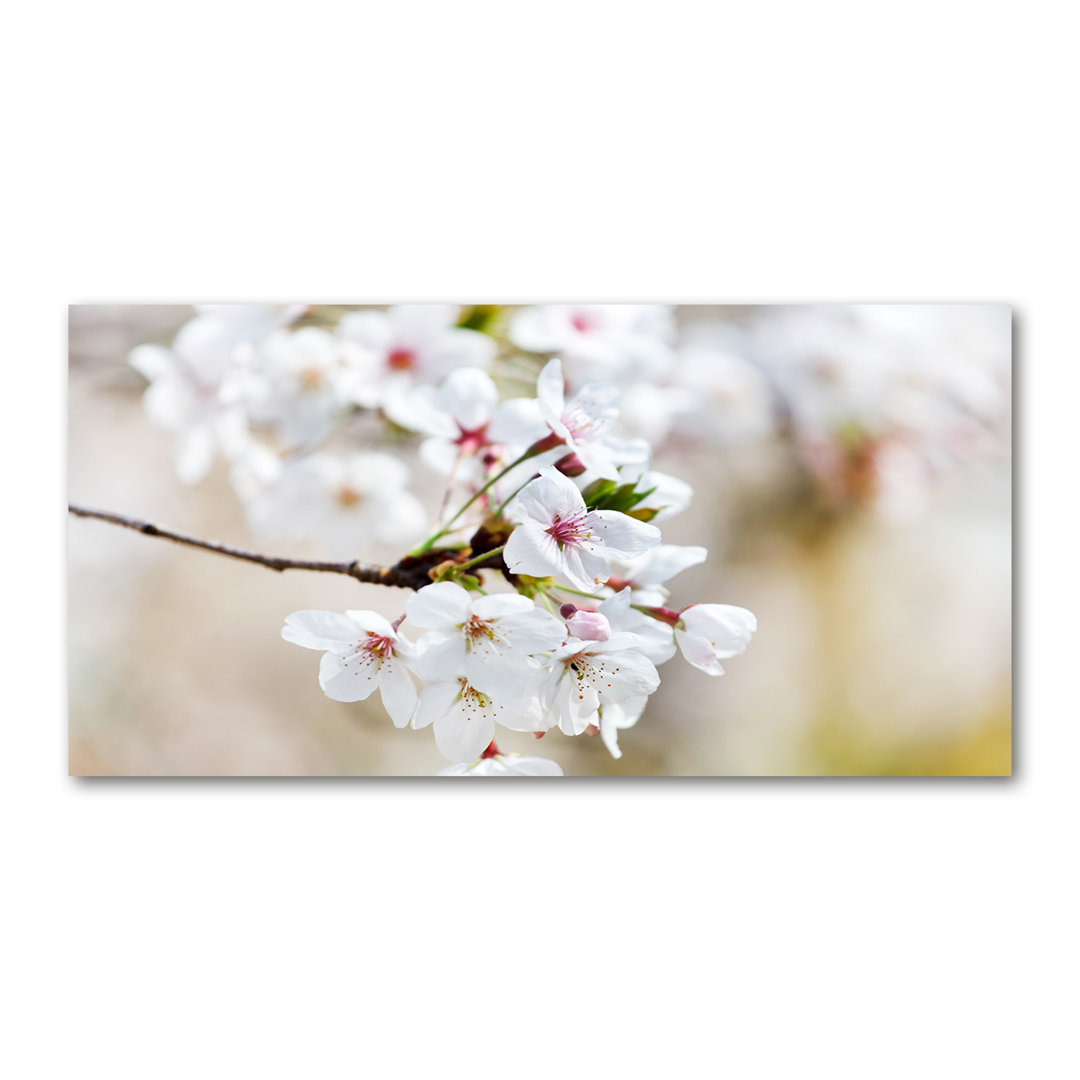 Kirschblüten - Kunstdrucke auf Leinwand - Wrapped Canvas