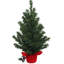 Ensemble de 12 sapins de Noël 2 pi avec base en tissu rouge