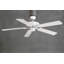 Ventilateur de plafond standard à 5 pales 52 po avec chaînette Ragnar-27773221