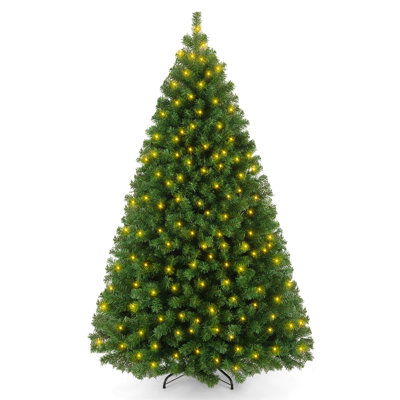 6' Lighted Spruce Christmas Tree