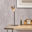 Beverlie Iron Desk Lamp