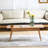 Kamrynn 100% Solid wood Top Plate Desk Coffee Table-29314417