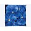 «Colorful Floral III», impression sur toile-29483635-73650585-73650586