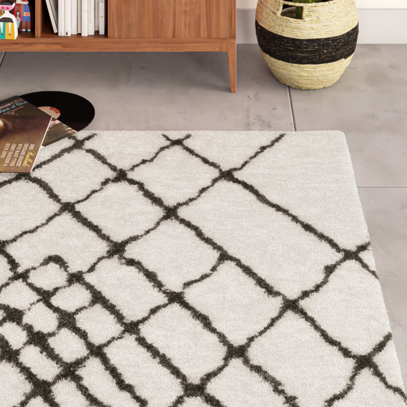 Tapis à poil long touffeté à la main à motif géométrique Aderita Toronto, Rectangle 5 pi x 8 pi