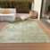 Machine Washable Indoor/Outdoor Xhevrie Sage Rug