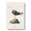Great Black-Backed Gull by Von Wright - Wrapped Canvas-55314145