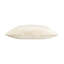 Velvet Square Pillow Cover & Insert-1520923391
