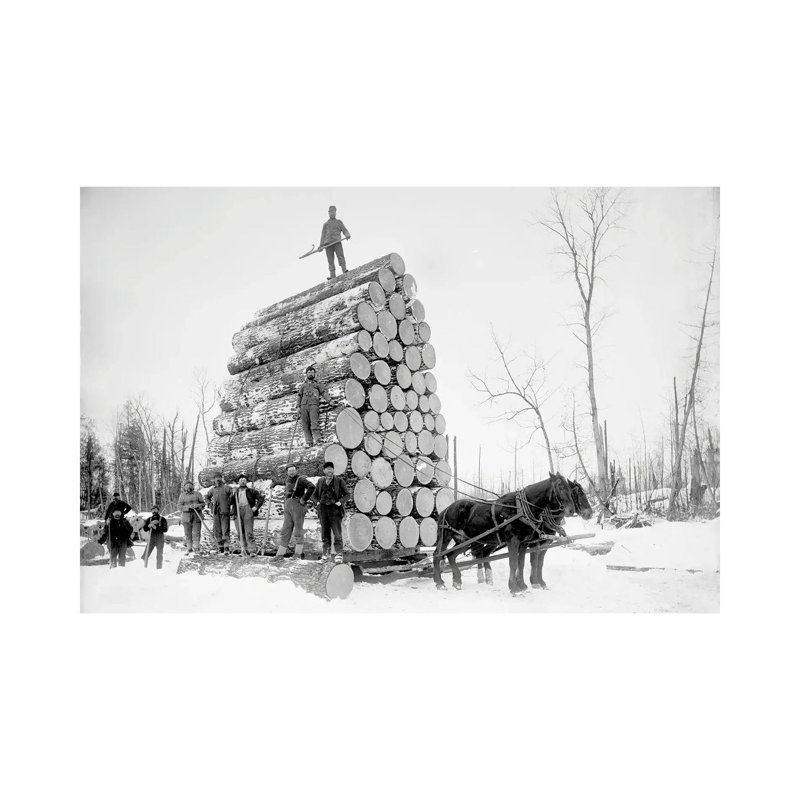«Timber Logging, Late 19e Century», reproduction d'art sur toile tendue, 60" x 40", Gallery Wrapped Canvas, No Frame