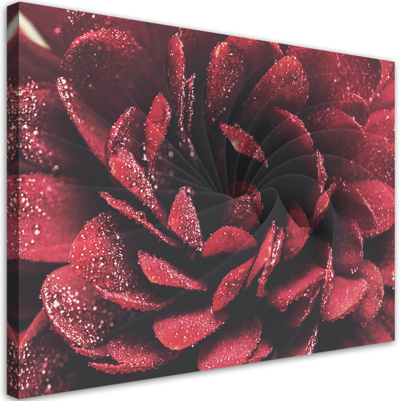 Macro Flower - Wrapped Canvas Print, 80cm H x 120cm W