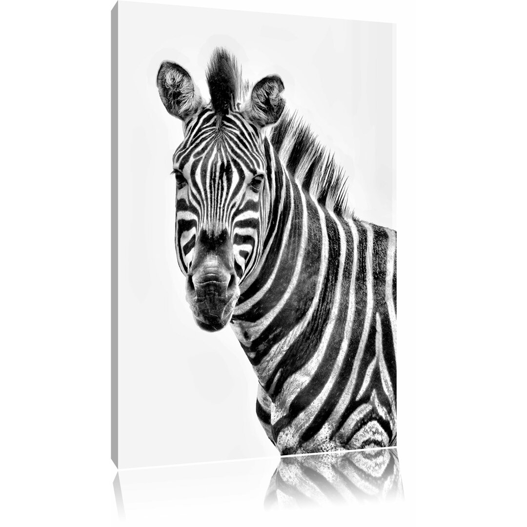 Leinwandbild Zebra im Portrait in Monochrom