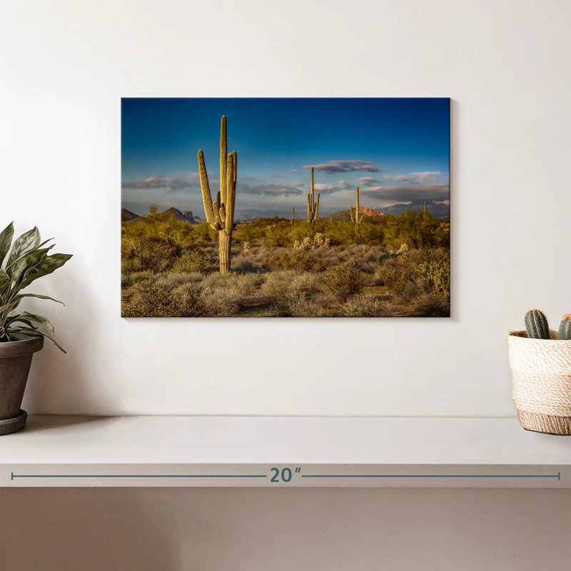 Harnek Arizona Desert Cactus, H 8 po x l 12 po