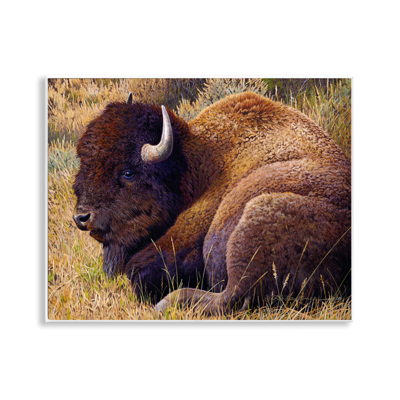 Relaxing Young Bison Wall Plaque Art by Rod Lawrence