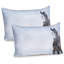Ensemble de 2 taies décoratives Ambesonne Winter-99905113