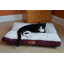Toile avec tapis pour chien en peluche-3848103