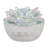 Glass Trinket Box-888858012-871158532