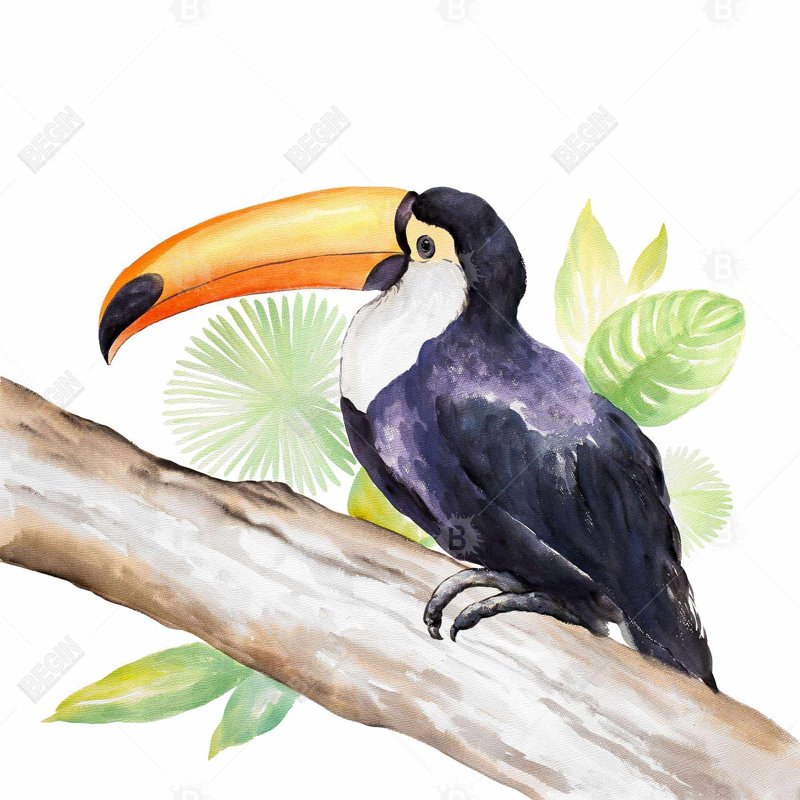 "Toucan perché" sur toile, H 36 po x l 36 po