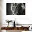 Lion sauvage monochromatique Brampt-108008544