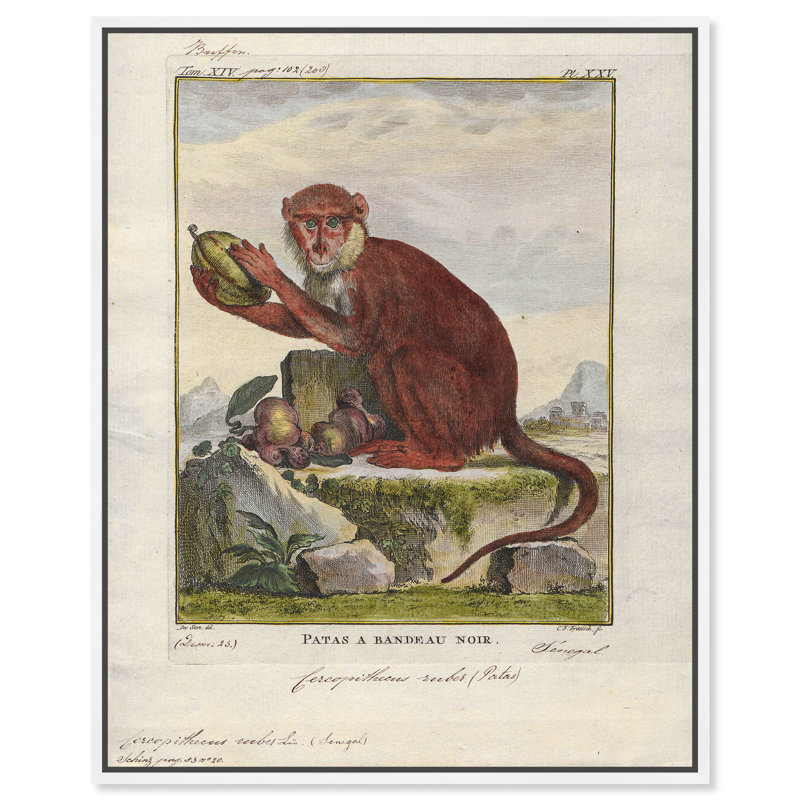 " Red Monkey " Painting Print, White Framed, 45" H x 36" W x 1.5" D