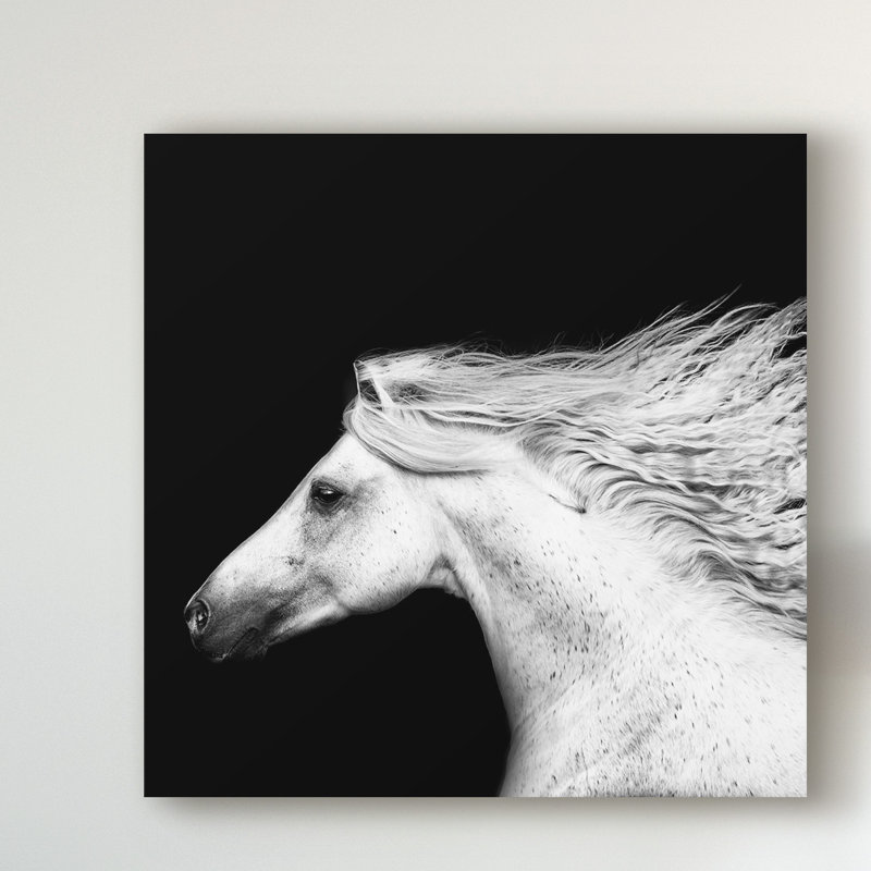 «Black and White Horses V», reproduction de photo sur toile tendue, H 14 po x l 14 po x P 2 po