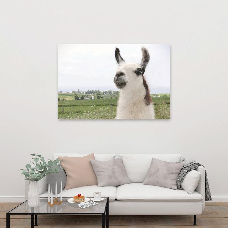 Alpaga pasture, portrait, paysage contemporain contemporain, art mural, 40" H x 60" W