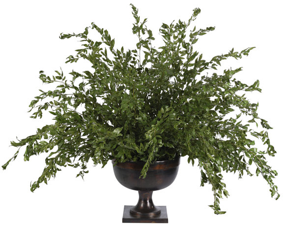 Smilex Branch, Green, Bronze Urn, 63wx63dx51h