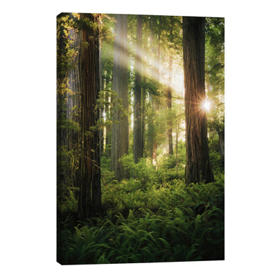 Goblin's Woods by Stefan Hefele - Wrapped Canvas Print