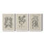 Antique Black and White Botanical VII - Ensemble de 3 reproductions d'art sur toile-282180051-282180060