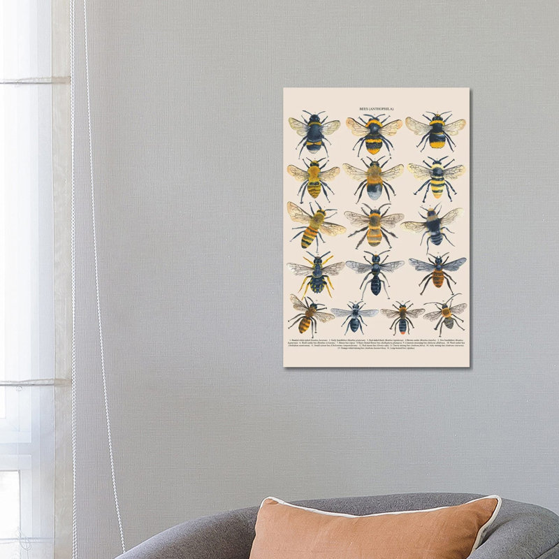 Bees by Michelle Campbell - Wrapped Canvas Print, 66.04 cm H x 45.72 cm W x 3.175 cm D