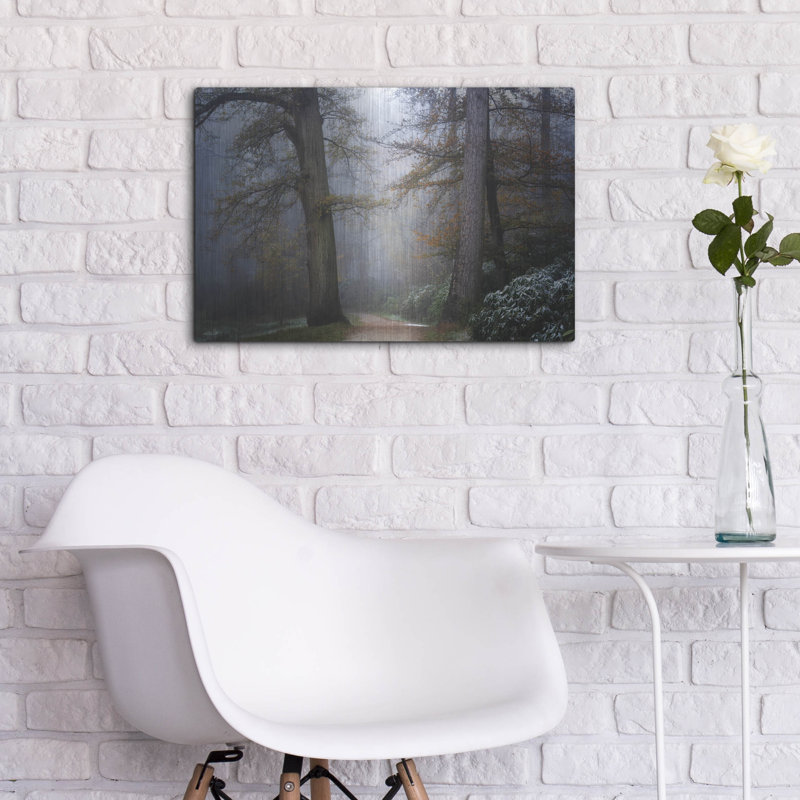  'Peaceful Path' by Martin Podt Metal Wall Art, 24" x 16", 16" H x 24" W