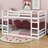 Bunk Bed With Ladder-637473807