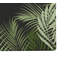 Paillasson Waving Palm Welcome-1836722373-1836722369