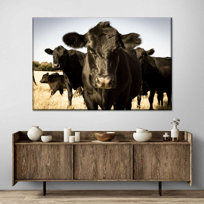" Black Angus Cattle "
