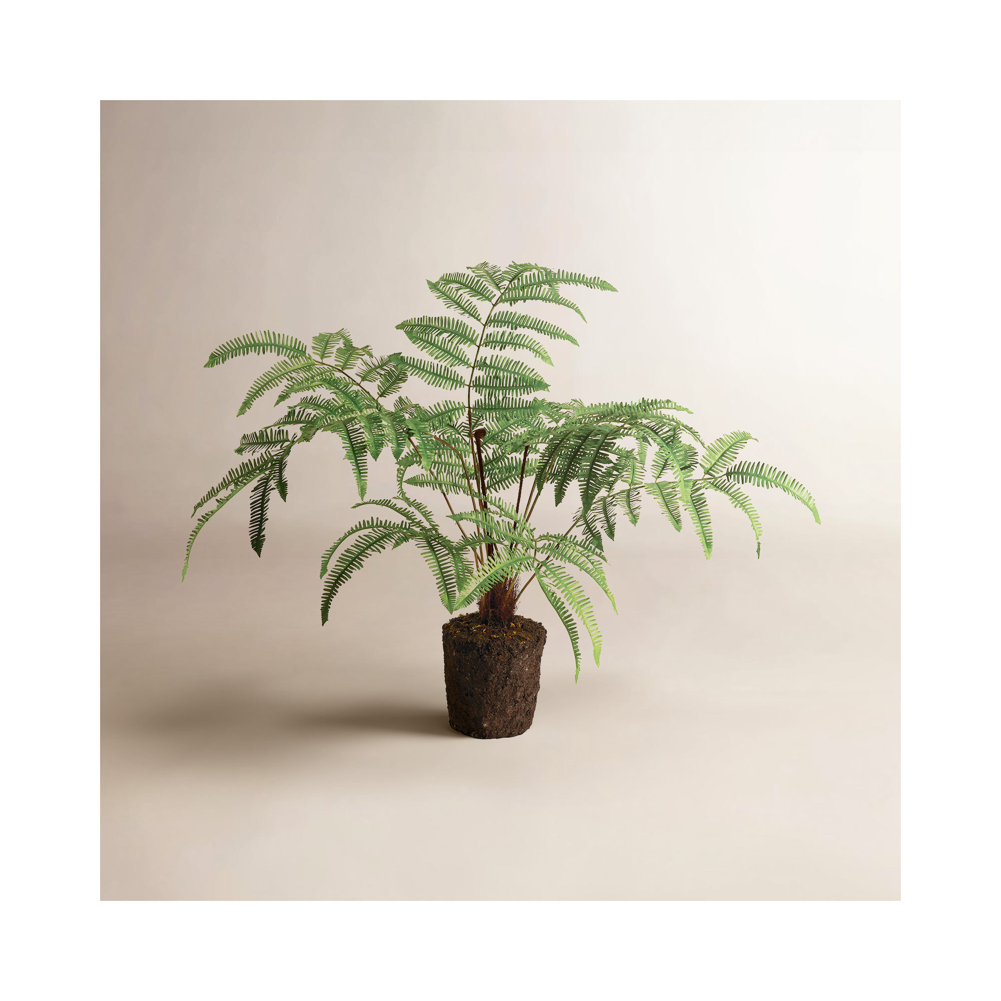 Georgia Faux Fern Plant, 29.5" H x 6.5" W x 7" D