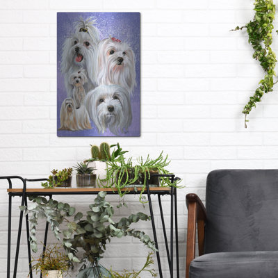 " Maltese 2 " by Barbara Keith