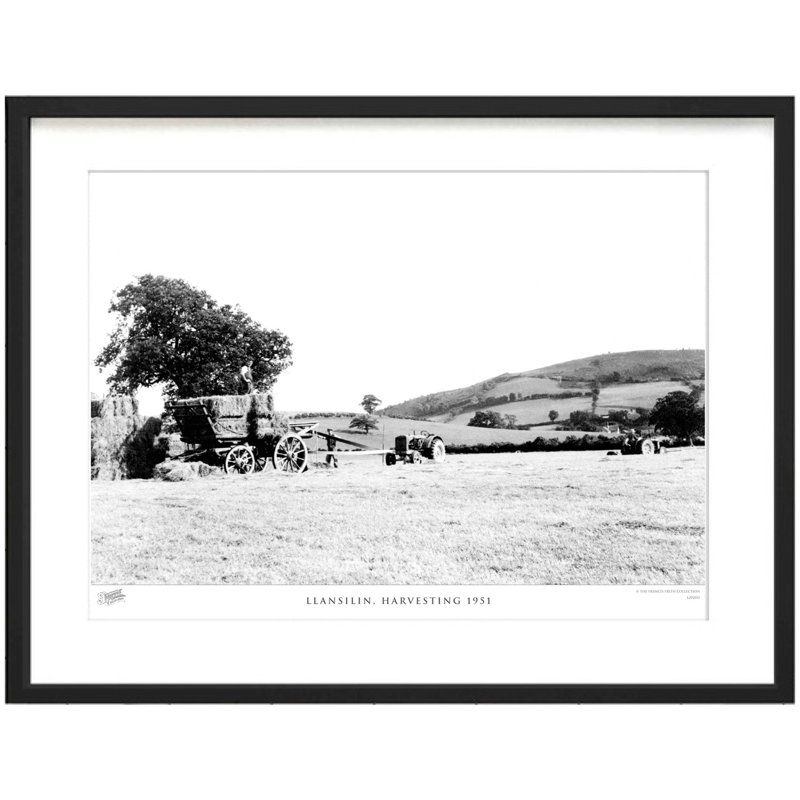 Llansilin, Harvesting 1951 by Francis Frith - Single Picture Frame Print, 45cm H x 60cm W x 2.3cm D