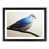 Black Framed selected