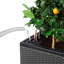 Trio Planter Box-16493116-16493114