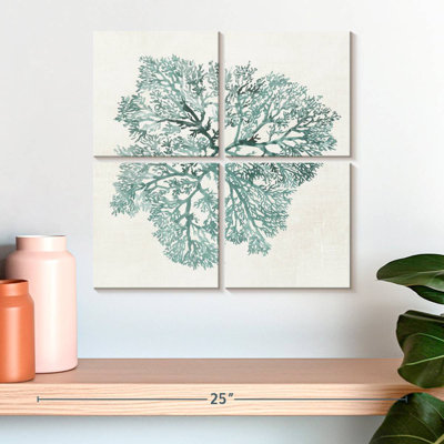 Corail Brampt sarcelle