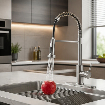 ROBOHIGH Kitchen Faucet Side Spray