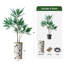 66 plantes-97701031