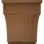 Sapin Douglas-64728028-101900814