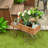 Chasitty Planter-1741917179
