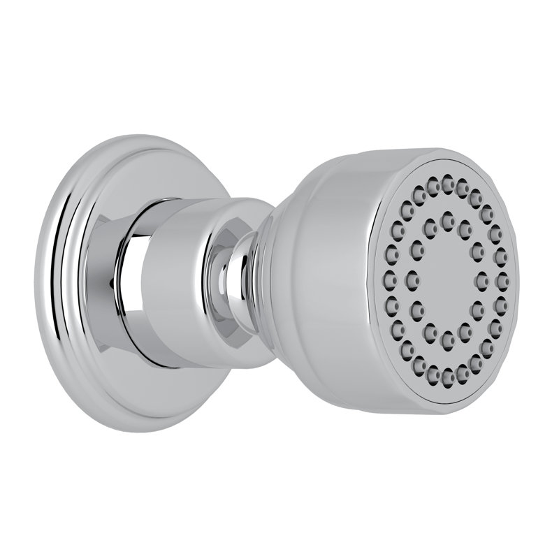 Adjustable Shower Head, Polished Chrome