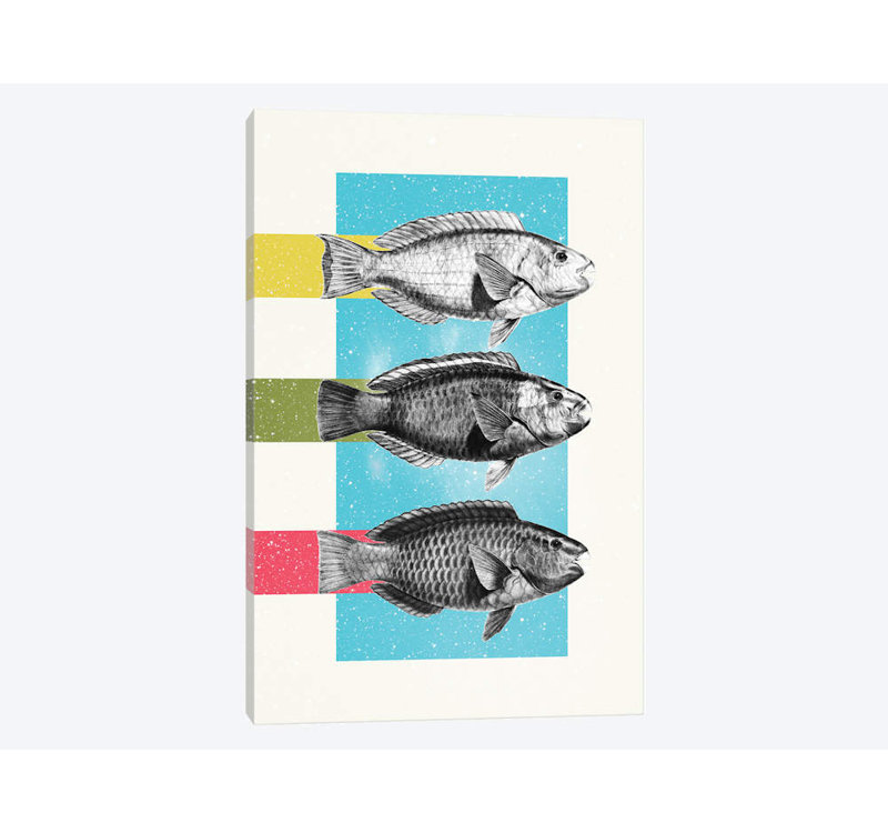 «Fish» par Danny Ivan, impression sur toile, H 60 po x l 40po x P 1,5 po, Pas de tapis, Toile tendue