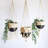 Jhuri Single Hanging Basket